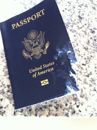 dog ate my passport
