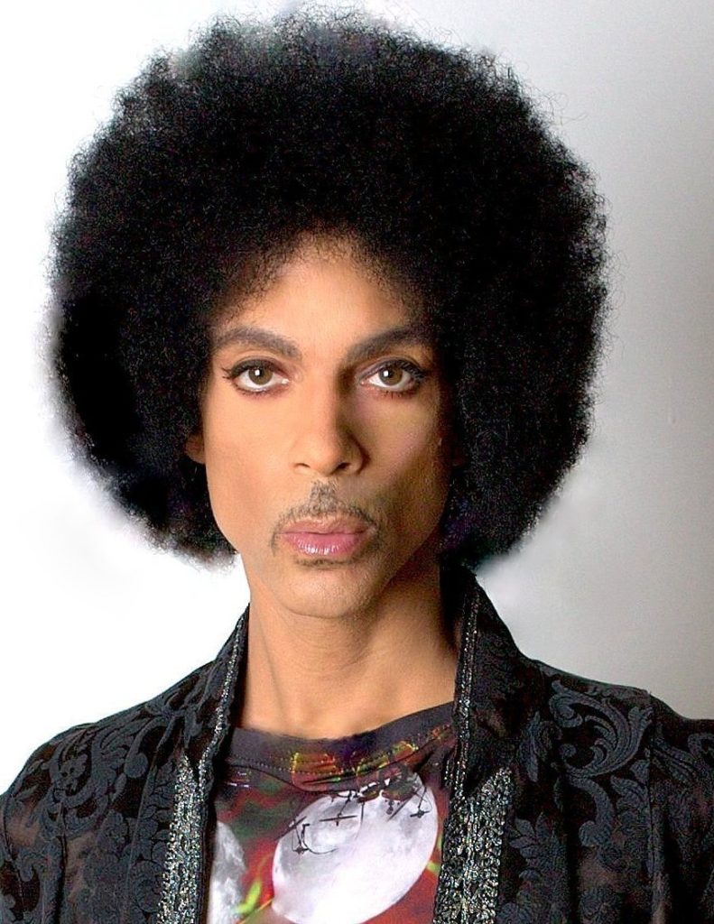 Passport Photo Guide Why Prince Has the Perfect Passport Photo