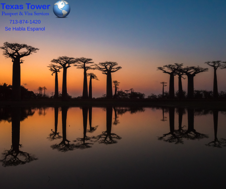 Madagascar: A Biodiversity Haven – Texas Tower 24 Hour Passport and Visa